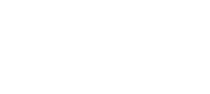 Logo de Visión Segura en el pie de página