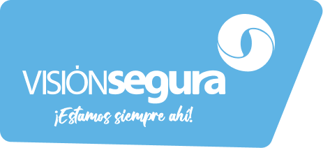 Logo de Visión Segura, agencia de seguros